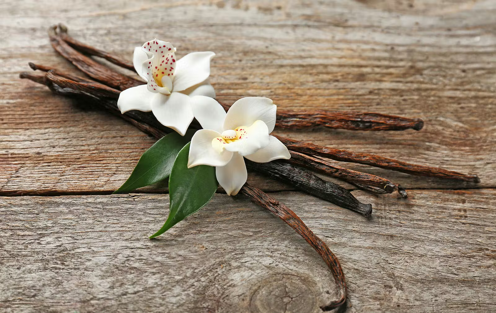 Vanilla