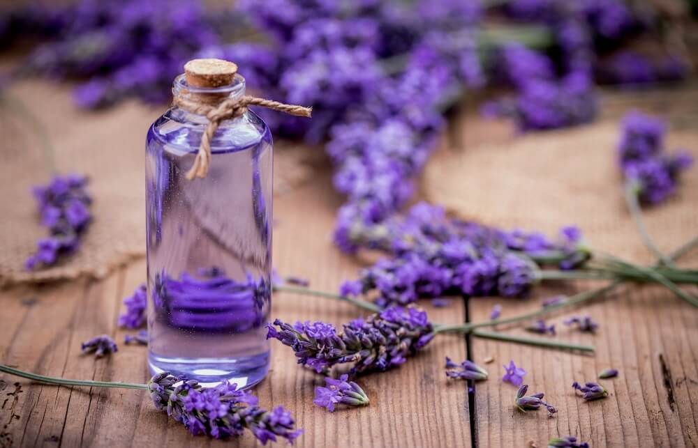 Lavender